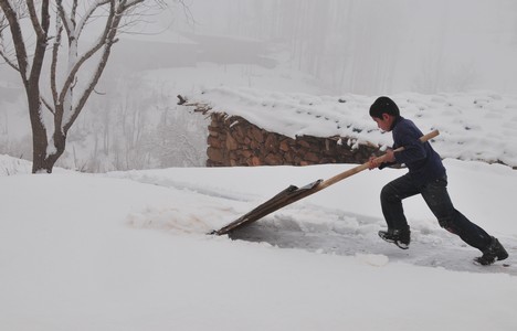 Yüksekova'da Lapa Lapa Kar yağışı (İshak Kara'nın Objektifinden)