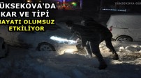 Yüksekova'da Kar Ve Tipi Hayatı Olumsuz Etkiliyor