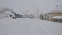 Yüksekova'da Kar Hayatı Olumsuz Etkiliyor