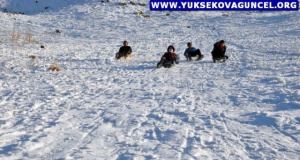 Yüksekovalı Çocukların Karlı Tepelerde Kızak Keyfi