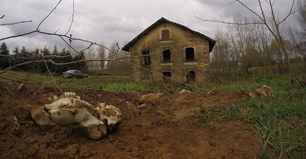 100. yılında sürgün yolunda: Armaş'ın ruhu