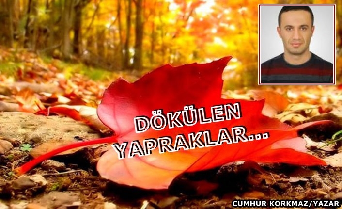 Dökülen Yapraklar