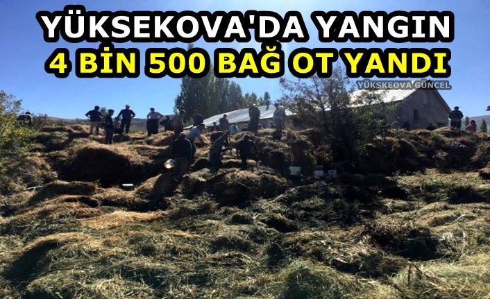 Yüksekova'da Yangın: 4 Bin 500 Bağ Ot Yandı
