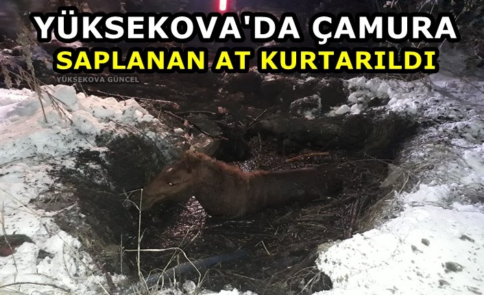 Yüksekova'da çamura saplanan at kurtarıldı
