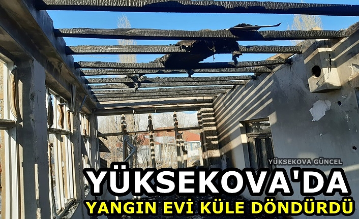 Yüksekova'da yangın evi küle döndürdü
