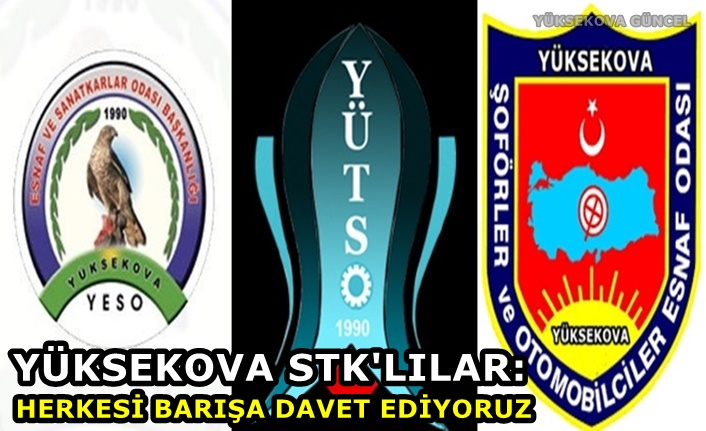 Yüksekova STK'lılar: Herkesi Barışa Davet Ediyoruz