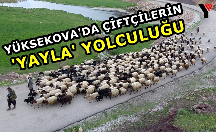 Yüksekova'da Çiftçilerin 'Yayla' Yolculuğu Başladı