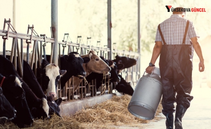 Et ve süt üreticilerinden dikkat çeken uyarı: Geri dönülmez bir yola giriyoruz