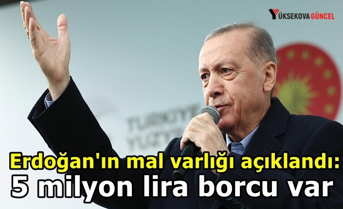 Erdoğan'ın mal varlığı açıklandı: 5 milyon lira borcu var