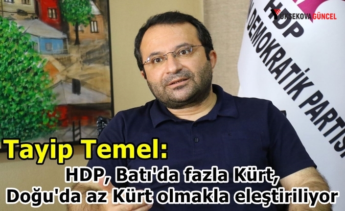 Tayip Temel: HDP, Batı'da fazla Kürt, Doğu'da az Kürt olmakla eleştiriliyor