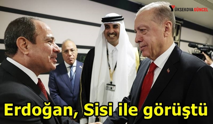 Erdoğan, "katil" ve "darbeci" dediği Mısır Cumhurbaşkanı Sisi ile görüştü
