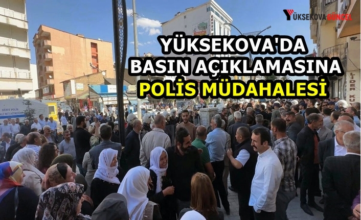 Yüksekova'da basın açıklamasına polis müdahalesi