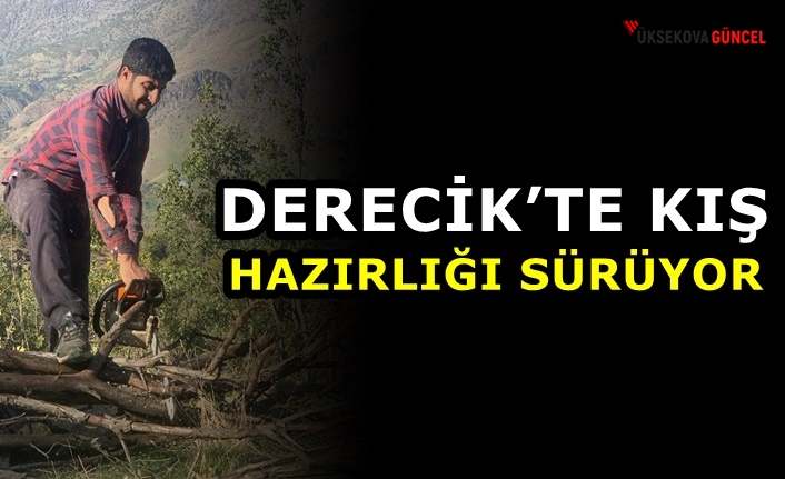 Derecik’te kış hazırlığı sürüyor