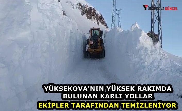 Yüksekova'nın yüksek rakımda bulunan karlı yollar ekipler tarafından temizleniyor