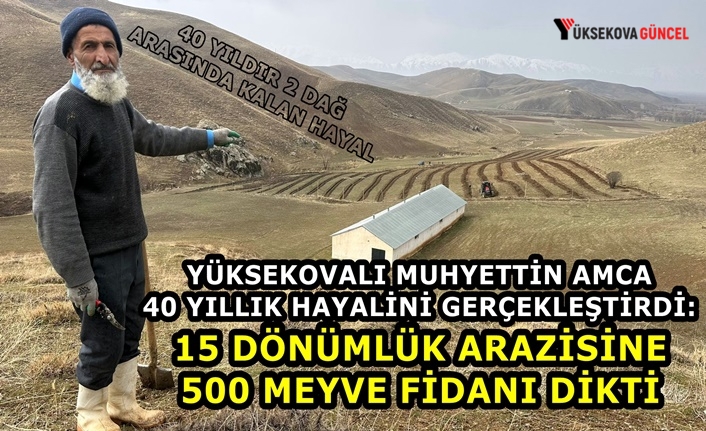 Yüksekovalı Muhyettin amca 40 yıllık hayalini gerçekleştirdi: 15 dönümlük arazisine 500 meyve fidanı dikti
