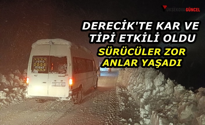 Derecik'te kar ve tipi etkili oldu, sürücüler zor anlar yaşadı