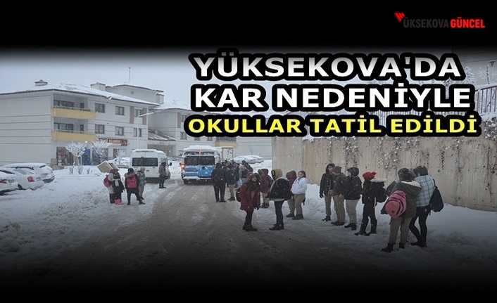 Yüksekova'da Kar Nedeniyle Okullar Tatil Edildi