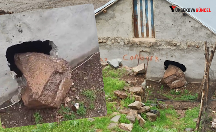 Yüksekova’da dağdan kopan kaya parçası ahırın duvarını deldi
