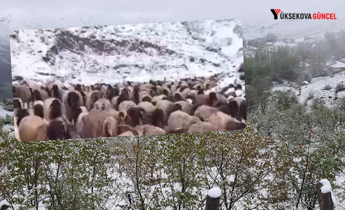 Yüksekova’da mayıs ayında kar yağışı