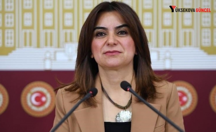 DEM Parti'den Erdoğan'a 'Can Atalay' yanıtı: Açıklamalarını kabul etmiyoruz