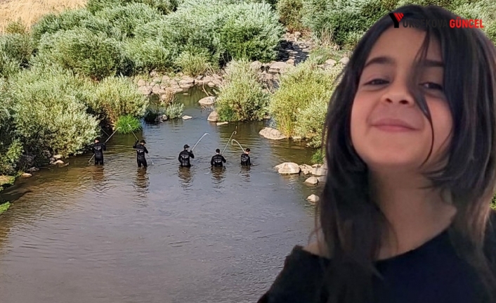 Narin Güran cinayeti: Polis kayıp 8 günlük görüntünün peşinde