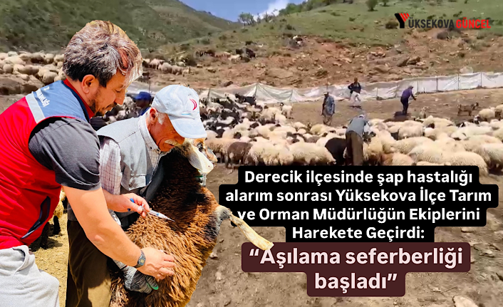 Derecik ilçesinde şap hastalığı alarım sonrası Yüksekova İlçe Tarım ve Orman Müdürlüğün Ekiplerini Harekete Geçirdi: “Aşılama seferberliği başladı”