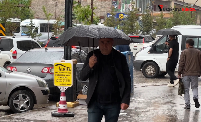 Yüksekova’da sağanak yağış etkili oldu