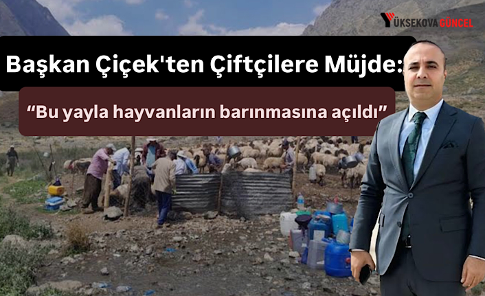 Başkan Çiçek'ten Çiftçilere Müjde: “Bu Yayla Hayvanların Barınmasına Açıldı”