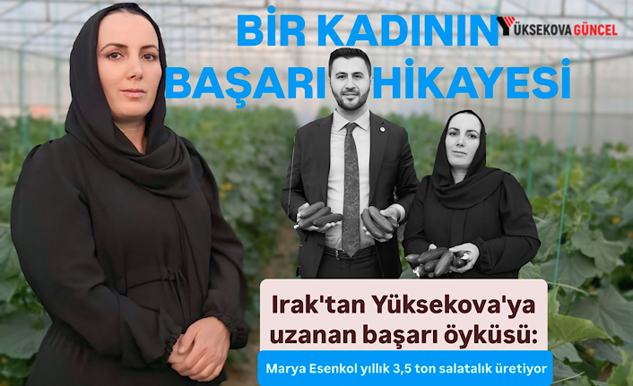Irak'tan Yüksekova'ya uzanan başarı öyküsü: Marya Esenkol yıllık 3,5 ton salatalık üretiyor