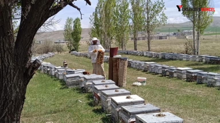 TKDK’dan Hakkari’ye büyük yatırım!