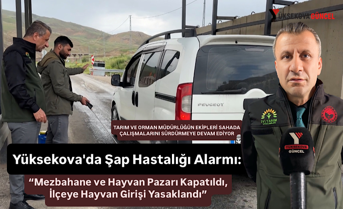 Yüksekova'da Şap Hastalığı Alarmı: “Mezbahane ve Hayvan Pazarı Kapatıldı, İlçeye Hayvan Girişi Yasaklandı”