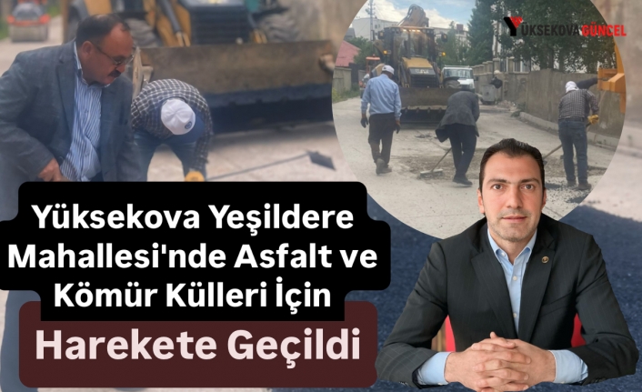 Yüksekova Yeşildere Mahallesi'nde Asfalt ve Kömür Külleri İçin Harekete Geçildi