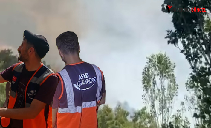 Şemdinli'de orman yangını: AFAD gönüllüleri en hızlı şekilde müdahalede bulundu