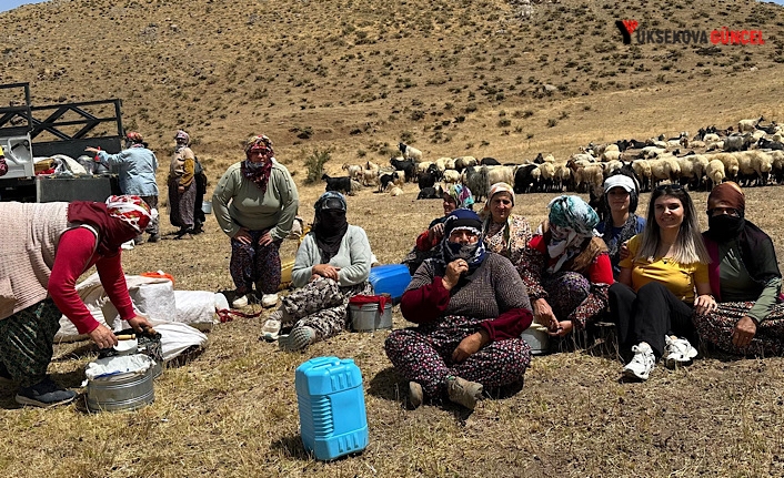 Yüksekova'da Berivanlara Yönelik Süt Hijyeni Eğitimi Sürüyor