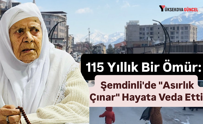 115 Yıllık Bir Ömür: Şemdinli'de "Asırlık Çınar" Hayata Veda Etti