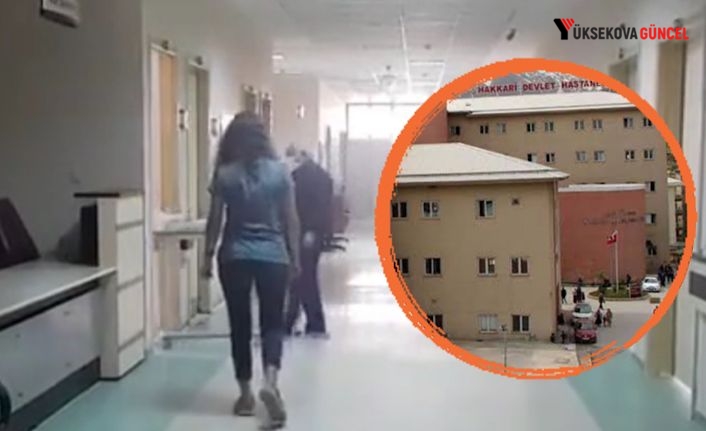 Hakkari'de Yüksek Riskli Gebelikler İçin Yeni Dönem: Perinatoloji Uzmanı Göreve Başladı