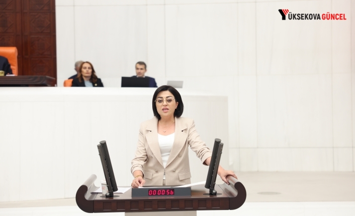 Milletvekili Bartın’den Sağlık Bakanı’na Soru Önergesi: “Hakkari’de Sağlık Hizmetleri Çöküş Noktasında”