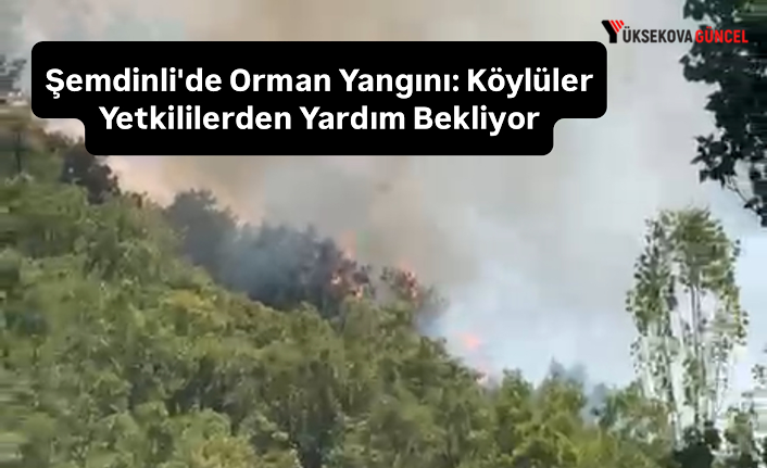 Şemdinli'de Orman Yangını: Köylüler Yetkililerden Yardım Bekliyor