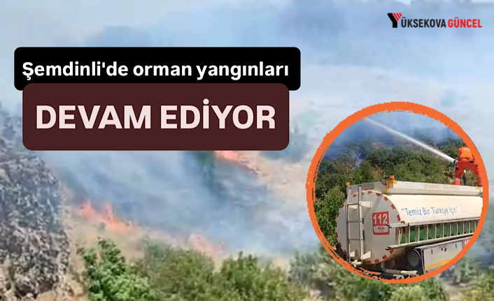 Şemdinli'de Orman Yangınları Devam Ediyor