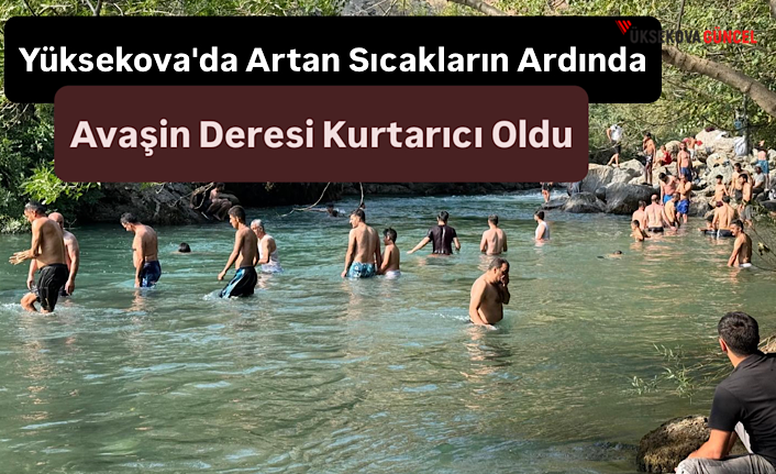 Yüksekova'da Artan Sıcakların Ardında: Avaşin Deresi Kurtarıcı Oldu
