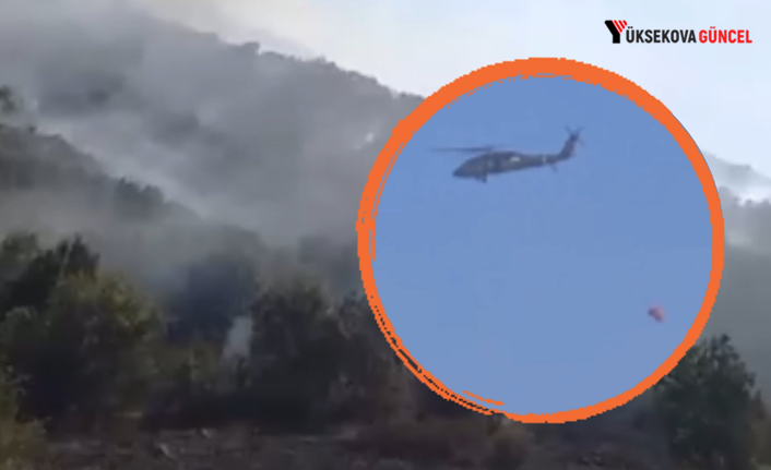 Yüksekova Dağlıca köyünde orman yangını 2 gündür sürüyor