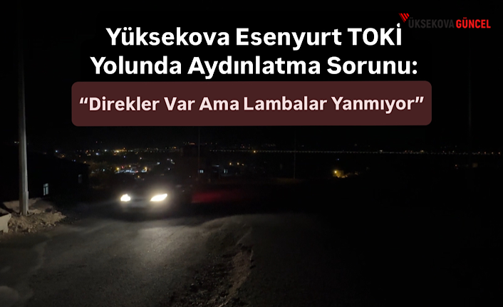 Yüksekova Esenyurt TOKİ Yolunda Aydınlatma Sorunu: “Direkler Var Ama Lambalar Yanmıyor”