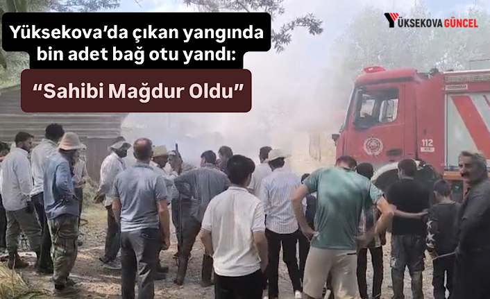Yüksekova’da çıkan yangında bin adet bağ otu yandı: “Sahibi Mağdur Oldu”