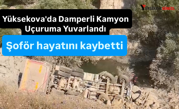 Yüksekova’da damper kasalı araç uçuruma kaçtı: Şoför hayatını kaybetti