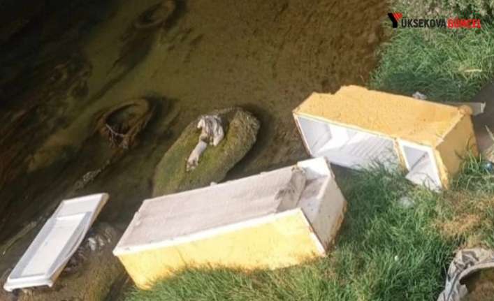 Yüksekova’da Büyükçay Deresi’ne Atılan Çöpler Tepki Topladı