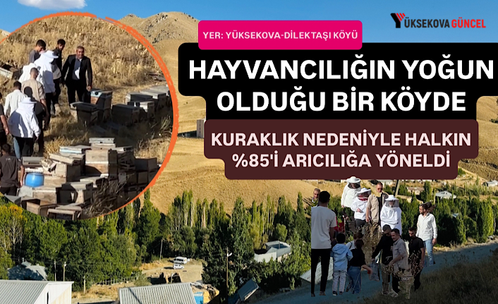 Hayvancılığın Merkezi Yüksekova Dilektaşı Köyü'nde Kuraklık Sonrası Değişim: “Köylülerin %85'i Artık Arıcılık Yapmaya Başladı”