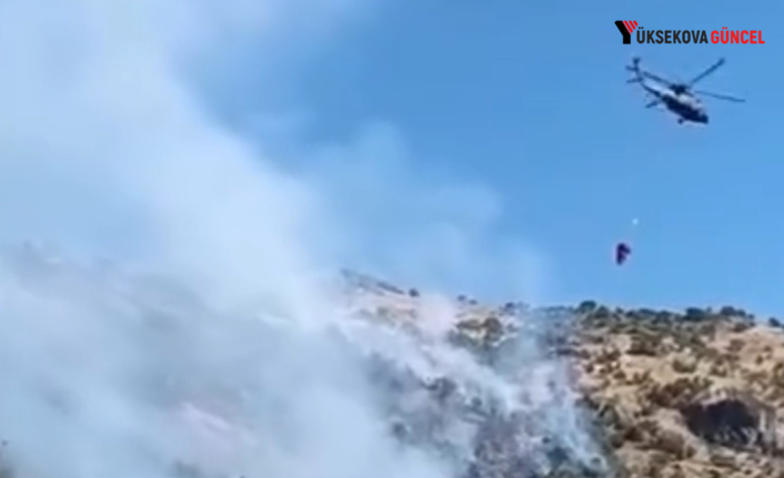 Şemdinli'deki Orman Yangınına Elazığ'dan Hava Desteği