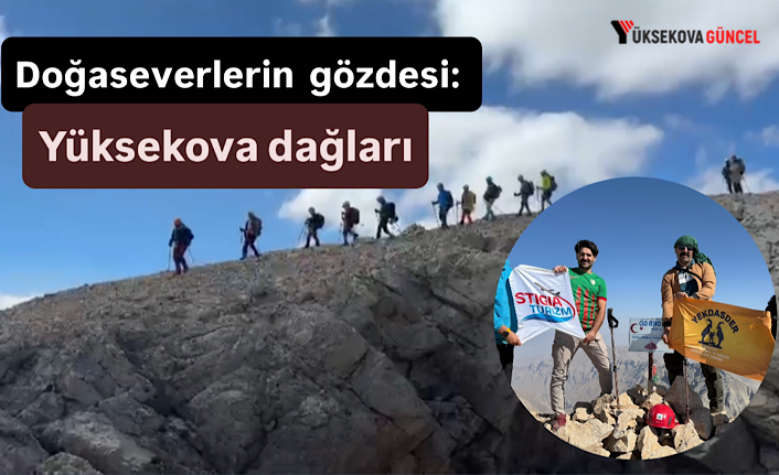 Doğaseverlerin gözdesi: Yüksekova dağları