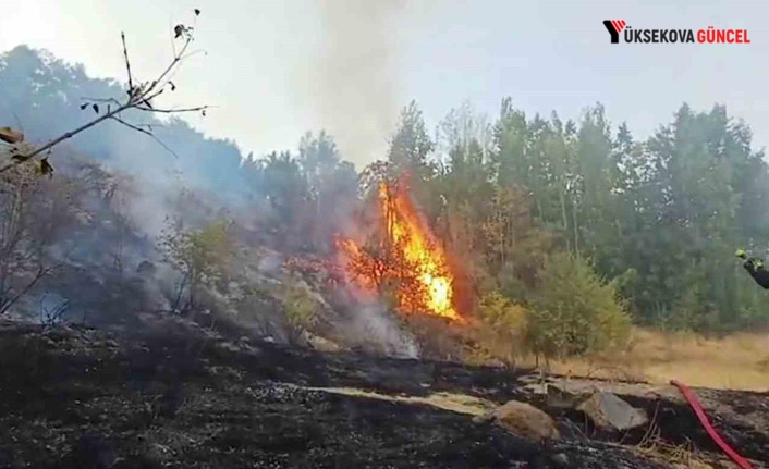 Hakkari’de Üç Farklı Noktada Yangın Kontrol Altına Alındı