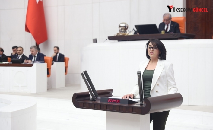 Hakkâri’de Sağlık Hizmetlerinde Ciddi İddialar: SES Raporu Meclis Gündeminde